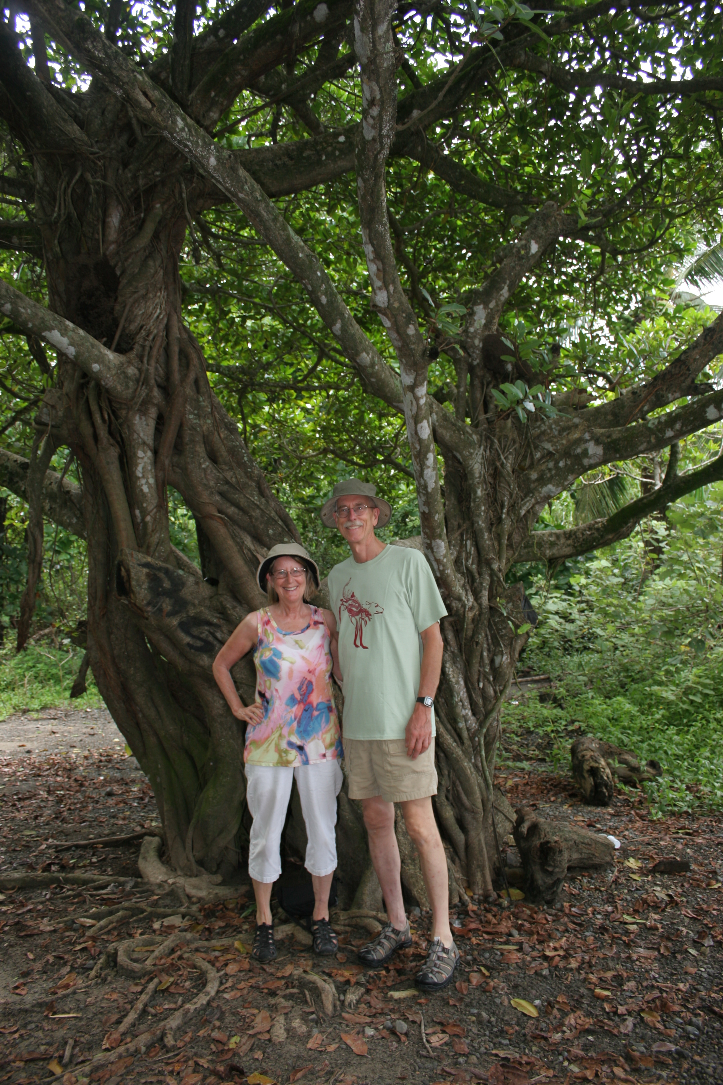 Arribada Playa Ostional near Nosara Costa Rica