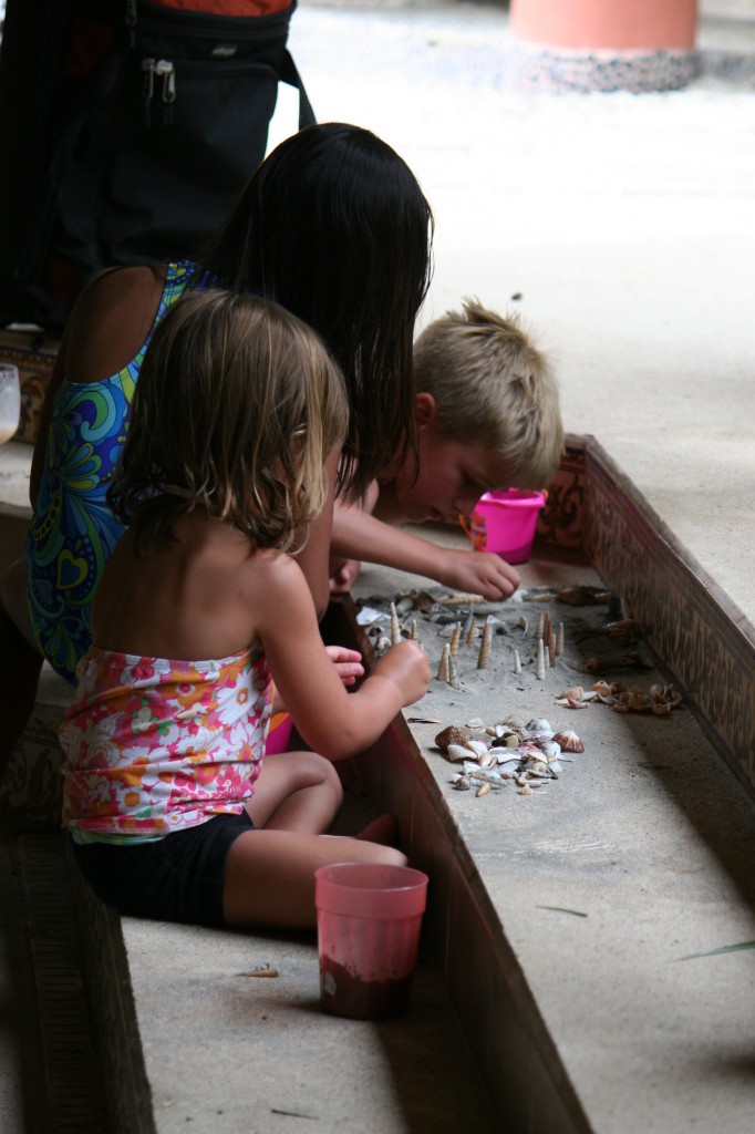 Costa Rica Hermit Crab Fun